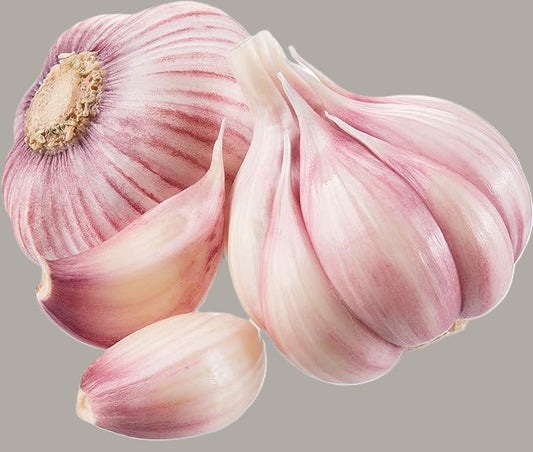 Garlic Knoblauch Bund