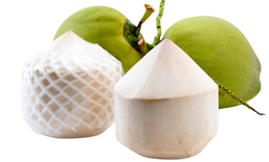 Young Coconut Fresh